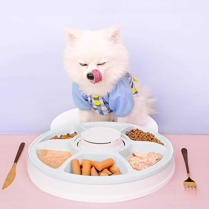 Автоматичена хранилка за дребни породи кучета или котки, 6 отделения