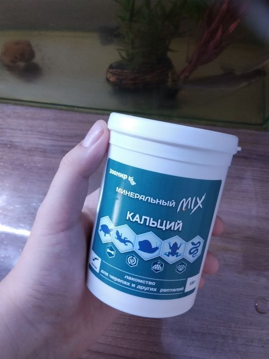 Кальций для яшериц