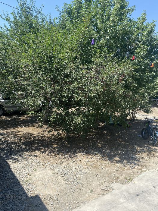 Продам частный дом мкр Коктал