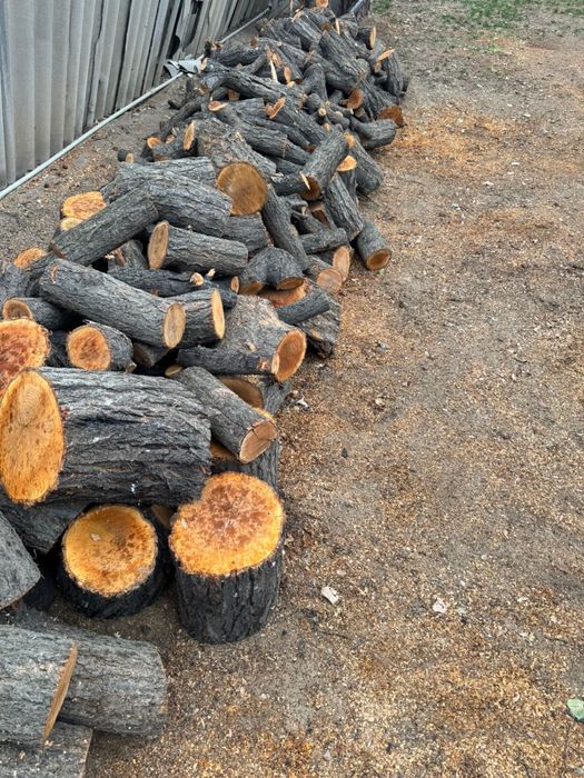 Агаш сатылады багасы келысымды