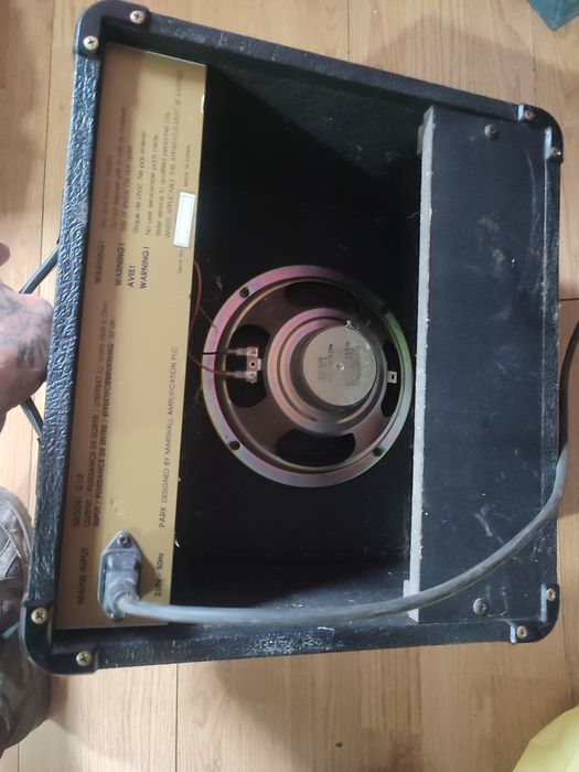 Boxa activa park 100w