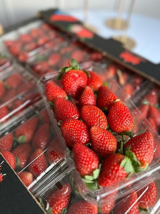 Клубника в шоколаде