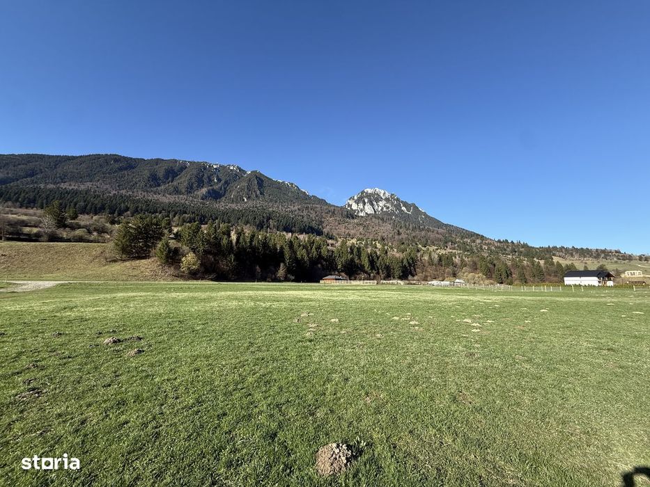 Teren intravilan 1269 mp cu priveliste la 12 km de zona Bran-Moeciu.