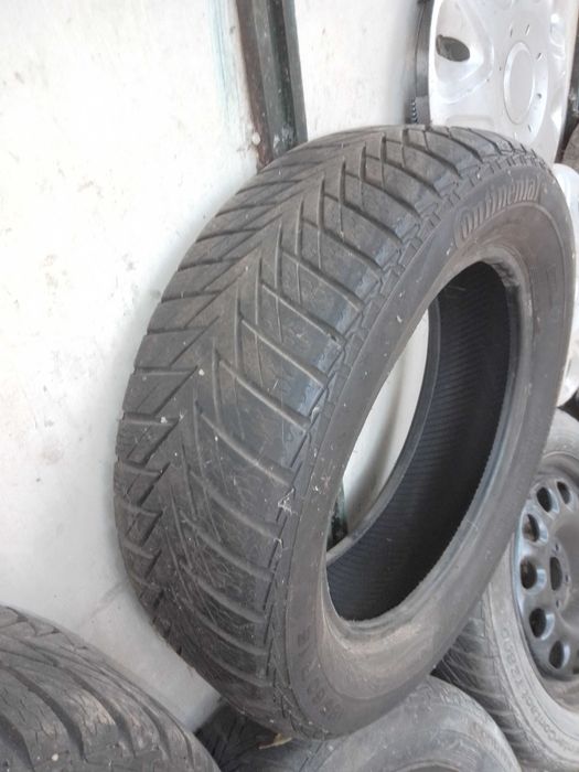 Roti Audi : WV continental