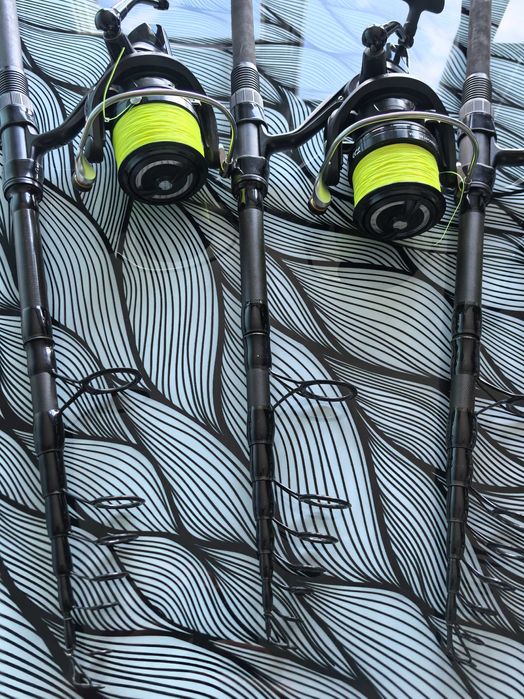 Daiwa Crosscast Telecarp 12ft 3lbs