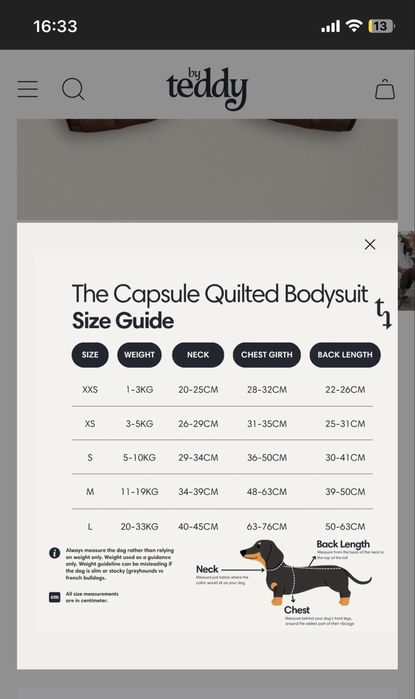 Jacheta catel matimea XS