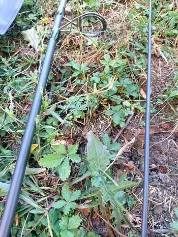 Шаранска въдица Legend Carp 3.60m, 3.75lb, 2 части