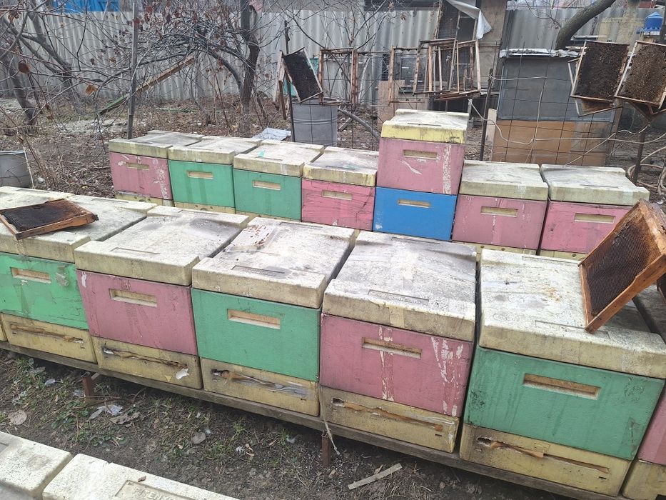 Продам пчелиные ульи
Материал — прочный п