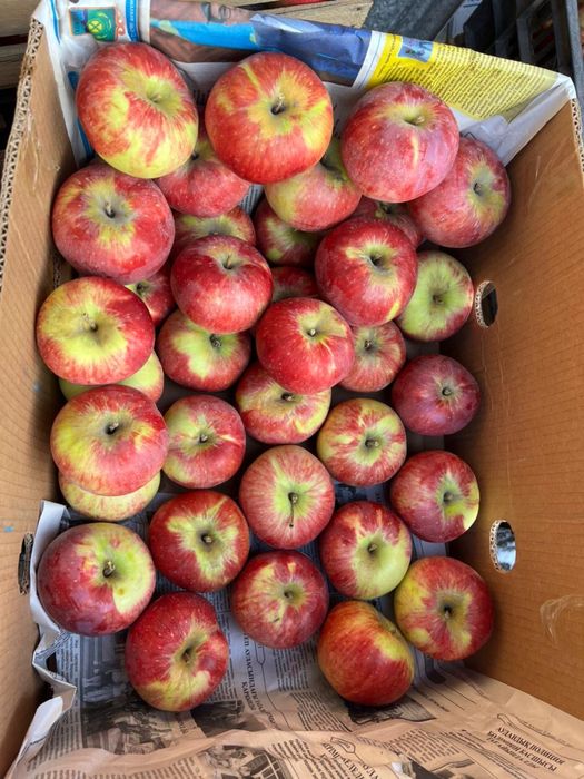 Апорт груши яблоки ассорти