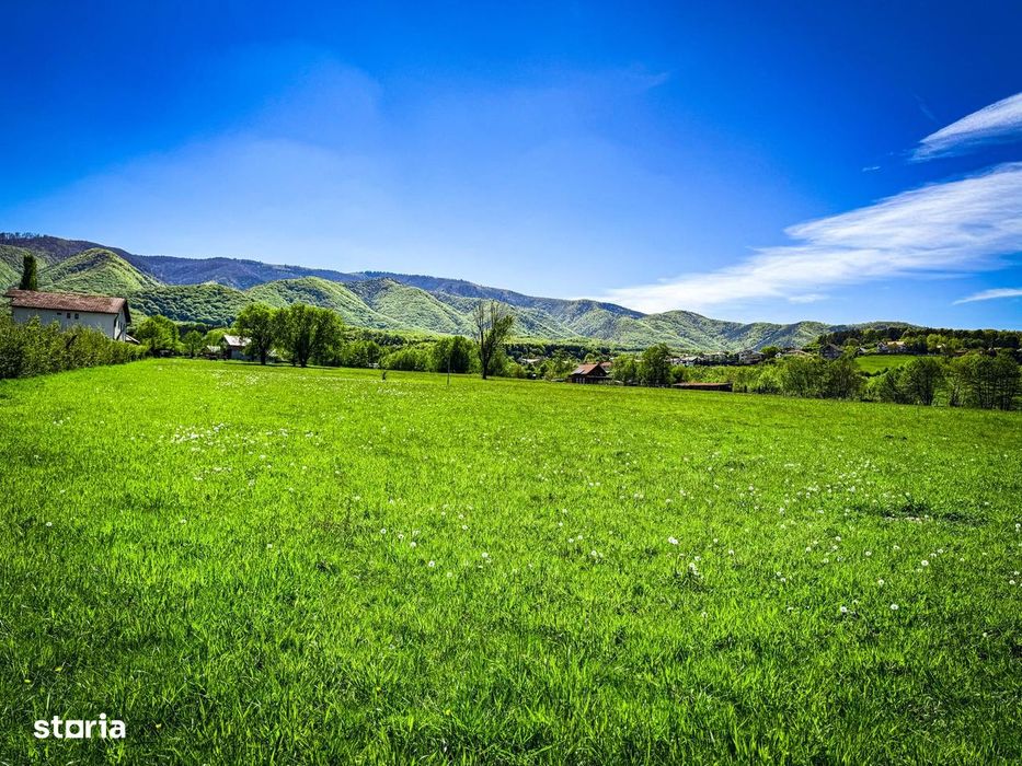 Teren intravilan 1000 mp Tocile, panoramă superbă spre munți