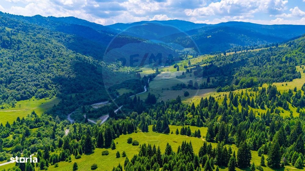 Natură— 18.900 mp în Săcele, cu râu și priveliște montană