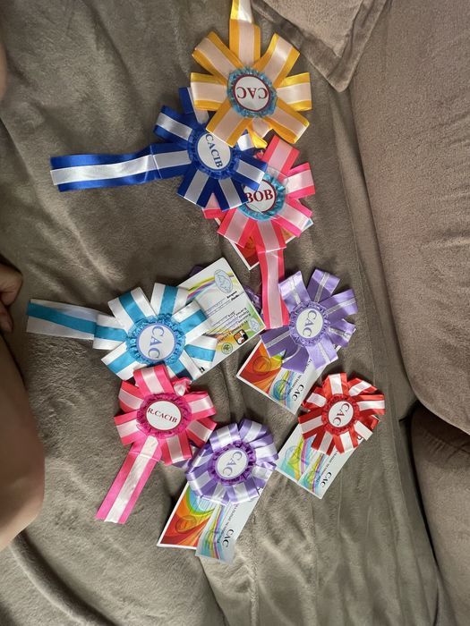 Вязка лабрадор ретривер