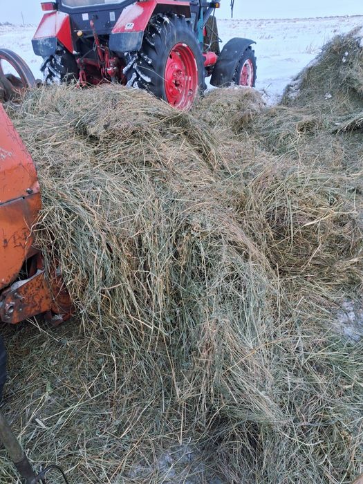 Продам сено в тюках