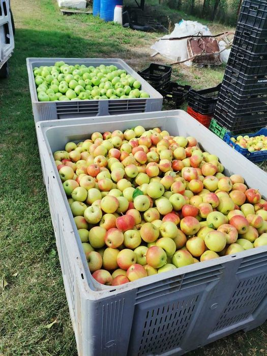 Продава се Земеделски имот в с. Могила, Област Стара Загора -  кв.м за 6 €/дка - Снимка #10