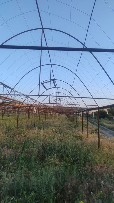 Каркас теплицы  металлическим