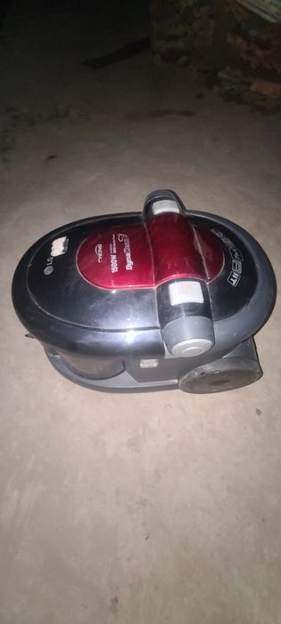 Puzik plisos yuvadi tortadi