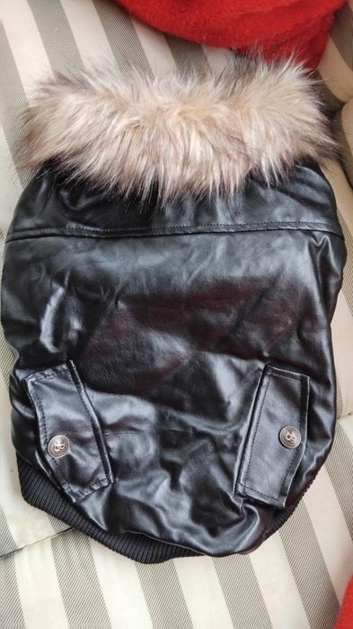 Haina cățel talie mica_medie