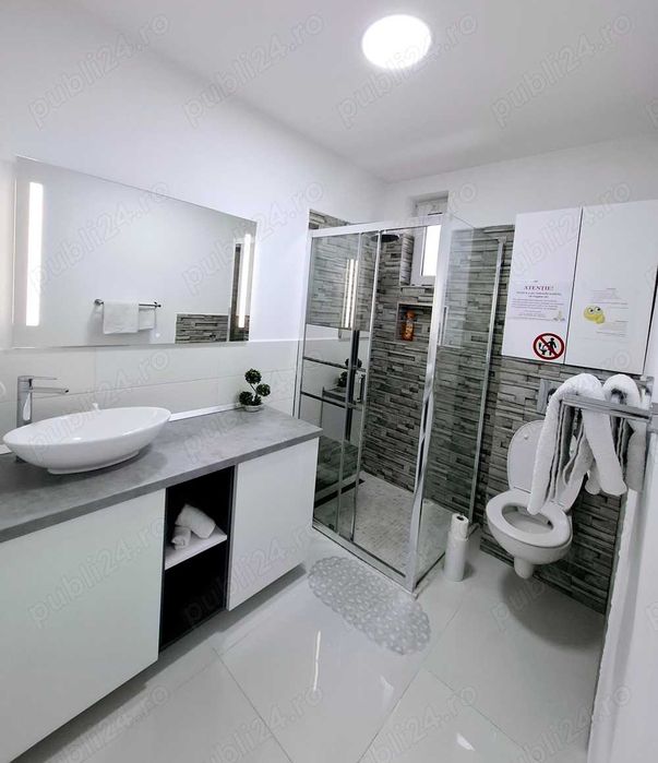 Cazare Regim Hotelier Casuta cu Tei Chirie Terasa Lux Curte Inchiriere