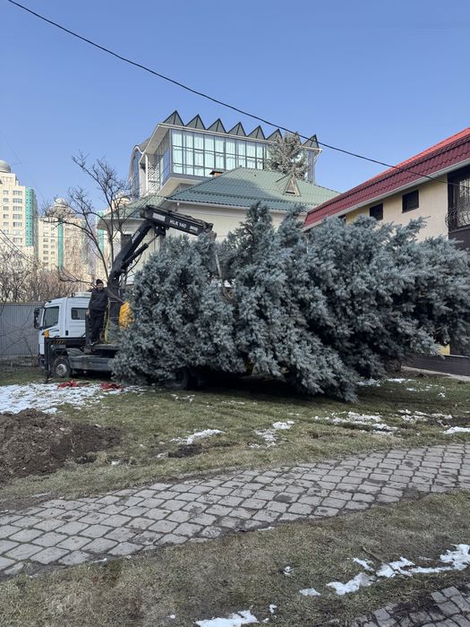 Услуги большого манипулятора Алматы