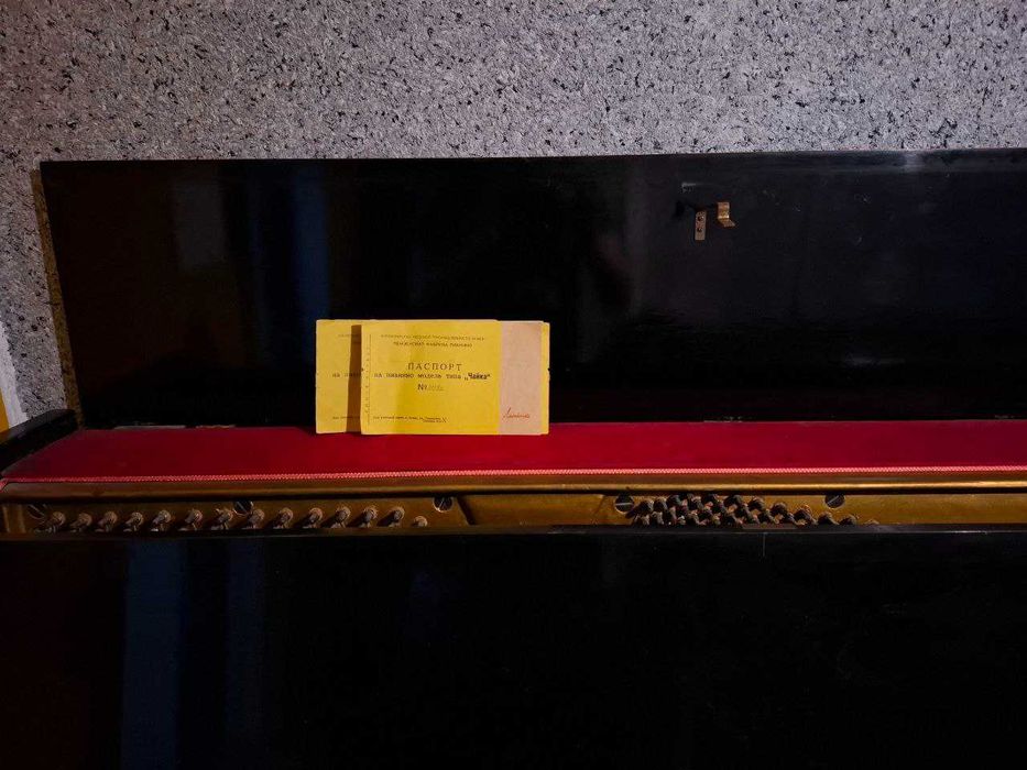 Pianino lastochka srochna sotiladi guliston