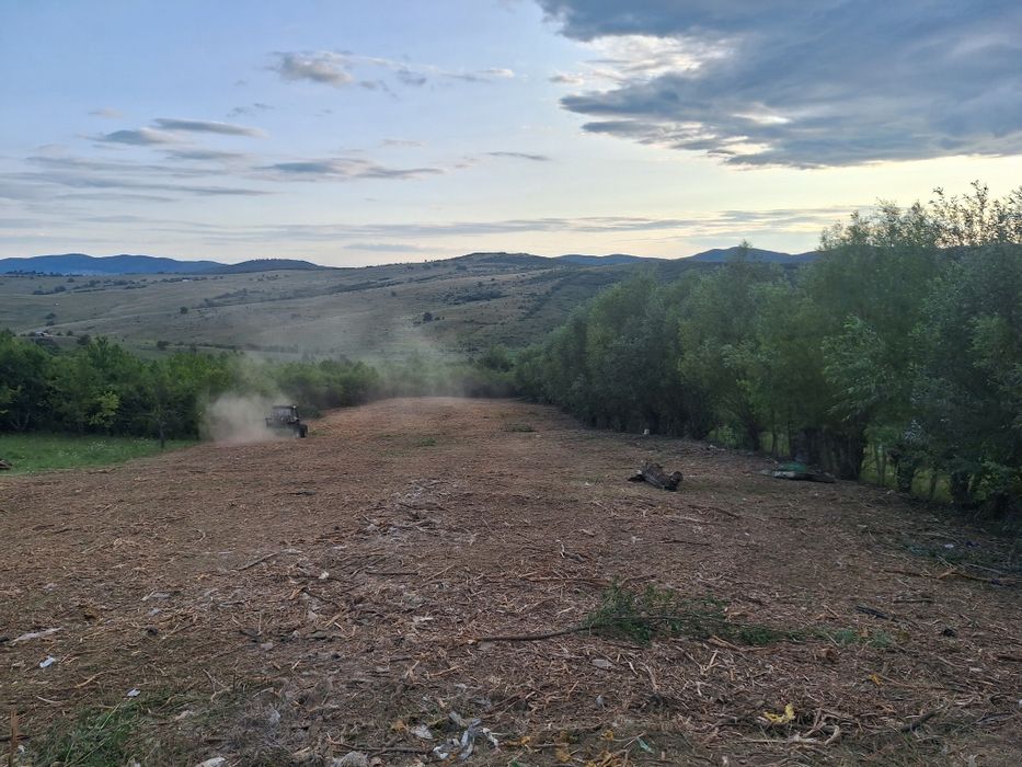 Curatare pasuni și terenuri împădurite