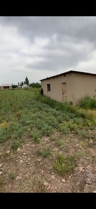 uchastka kadastr 31 sotix