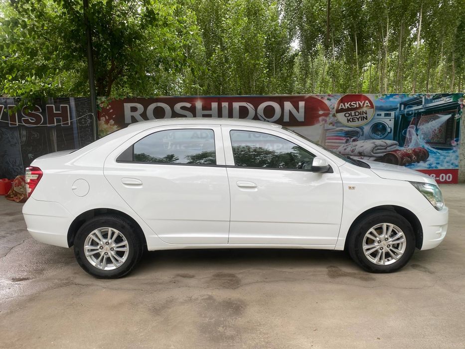 Other Cobalt 2023 — 10