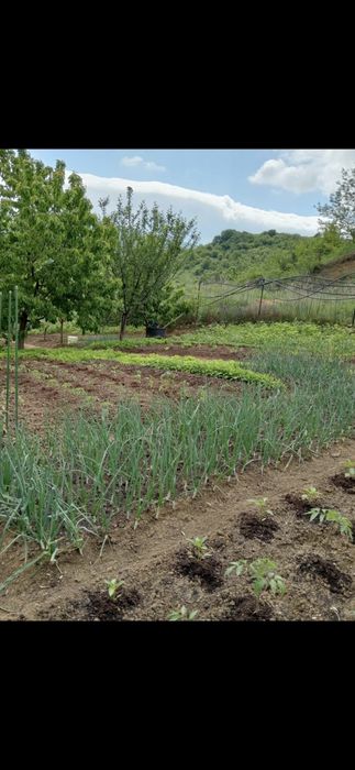 Casa Zona Sărmaș foarte aproape de centru!