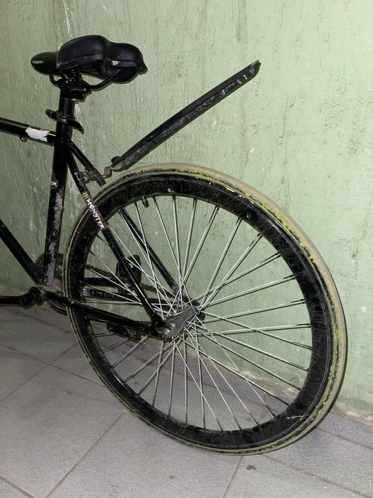 Синглспид (Fixed Gear)