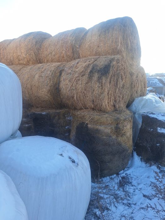 Baloti de fan si lucerna