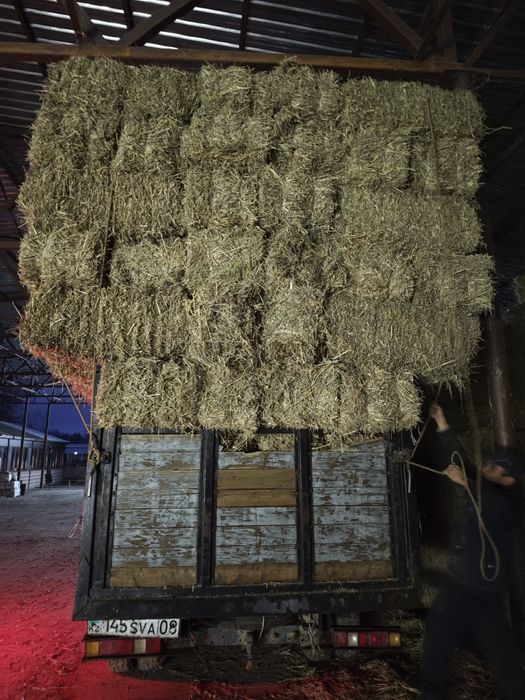 Самовывоз Василек шөп в тюках