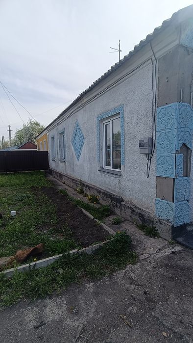 Продается дом на два хозяина.