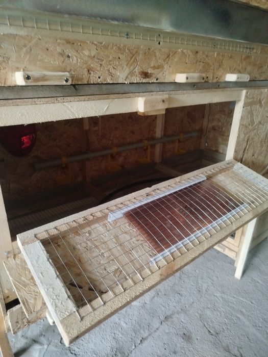 Брудер для цыплят большой