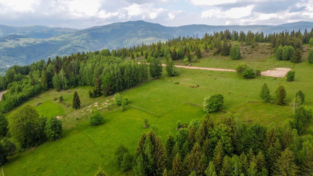 Vand teren cabana in Apuseni