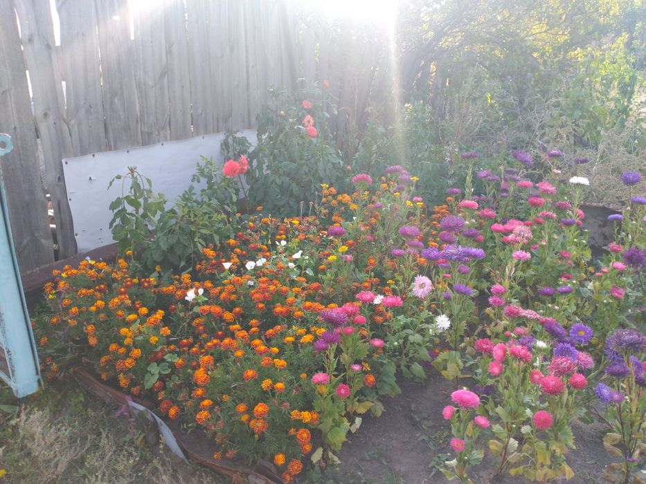 Продается дача  в с/о Горняк