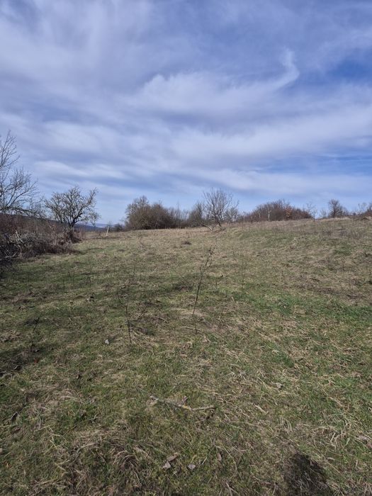 Vand teren intravilan la Șiștarovăț