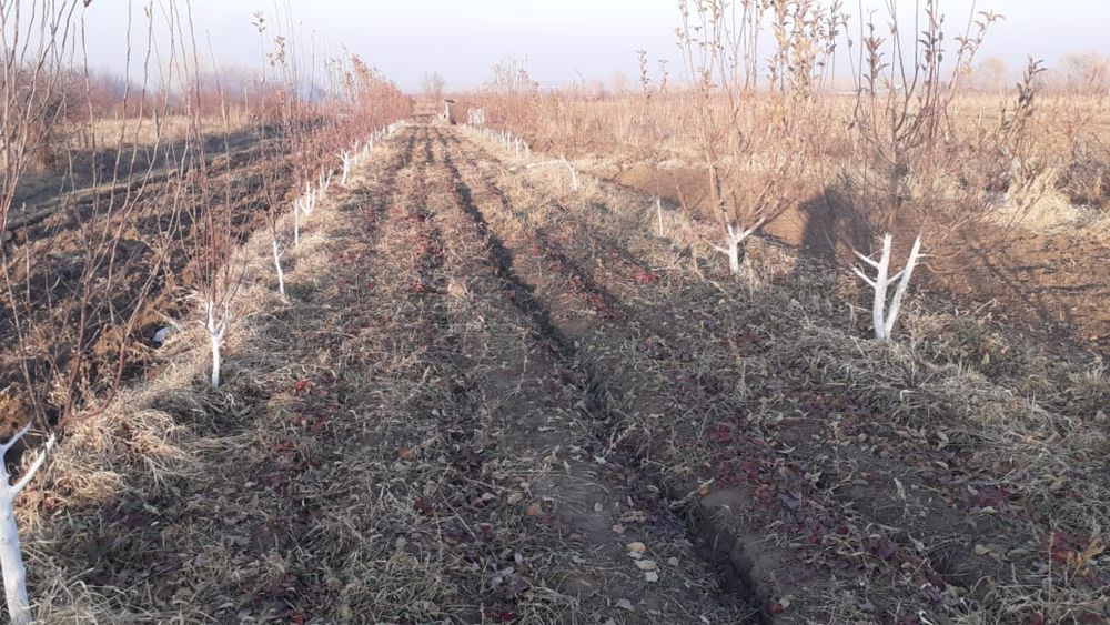 Продам участок поле