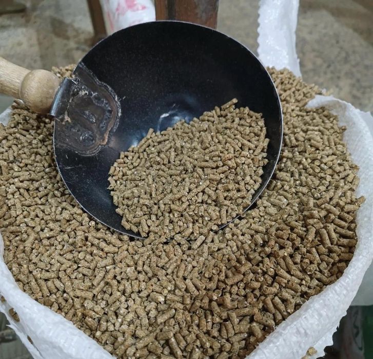 Для несушек (гранулы]