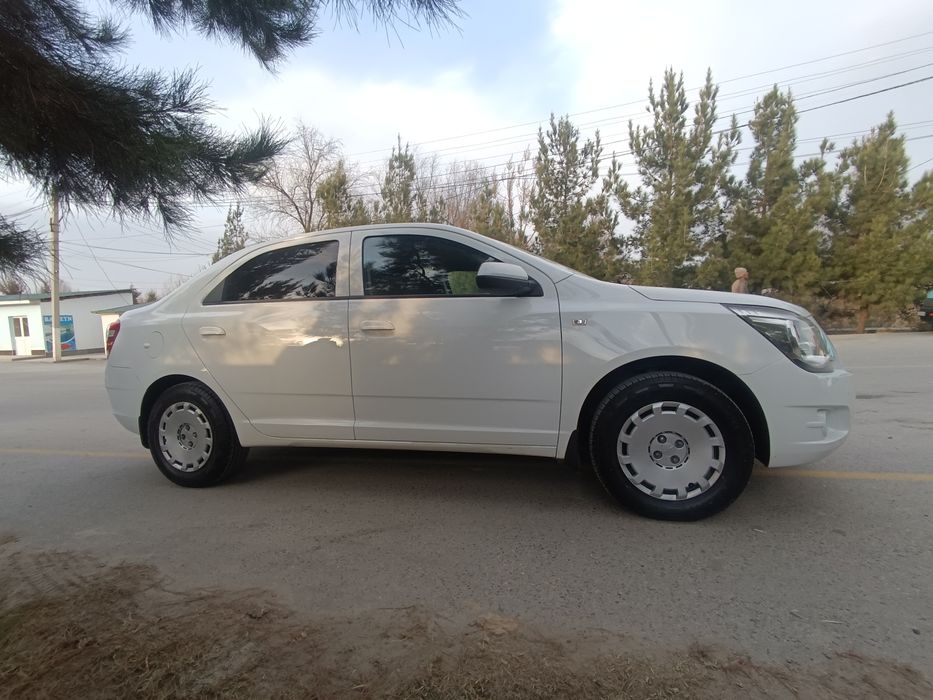 Cobalt mexanika 2-pazitsiya Tozza