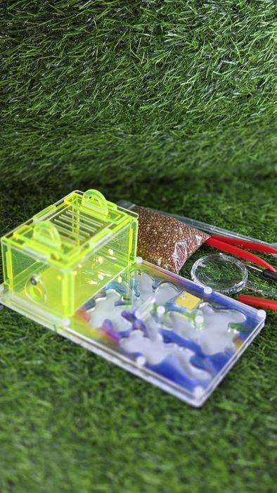 Муравьиная ферма! АЛМАТЫ