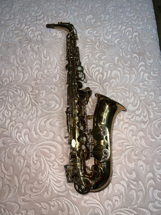 Vand saxofon parrot!