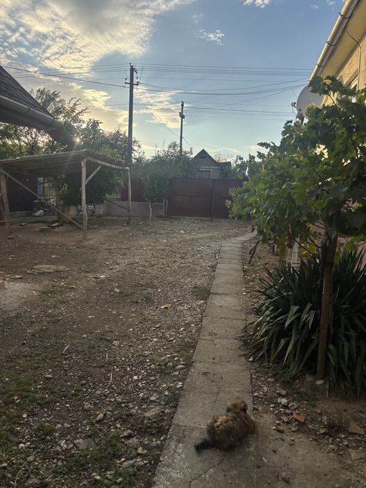 Vand casa locuibila sat araneag