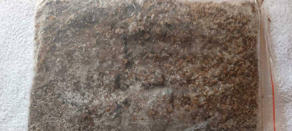 Замразена храна за аквариумни  риби от Чехия