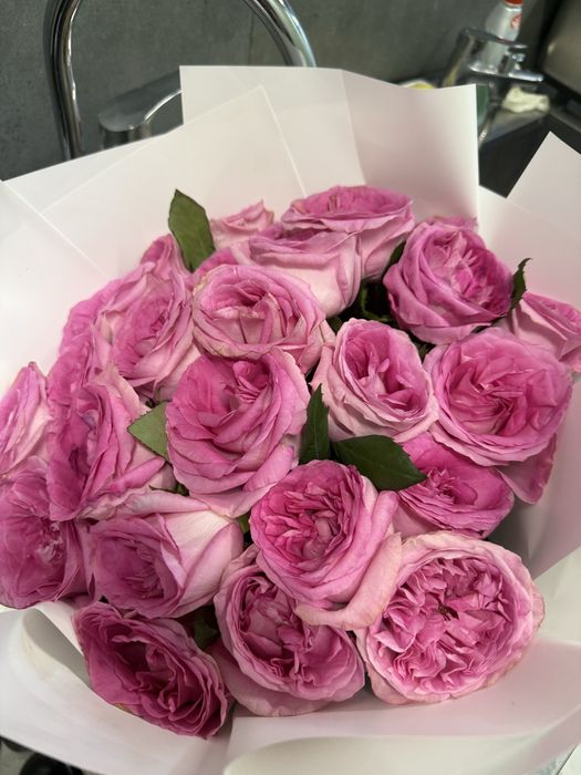 Продам цветы свежие