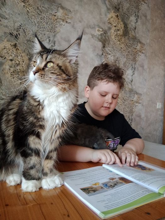 Мальчик полидакт