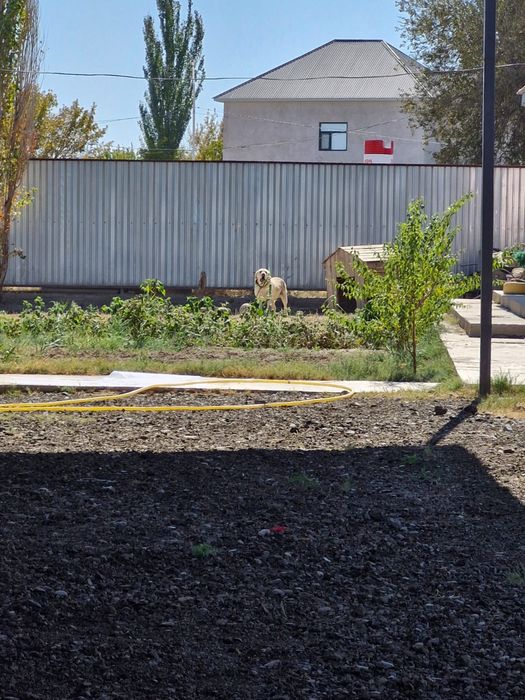 недвижимость дом