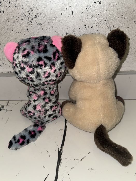 Колекционерски котета