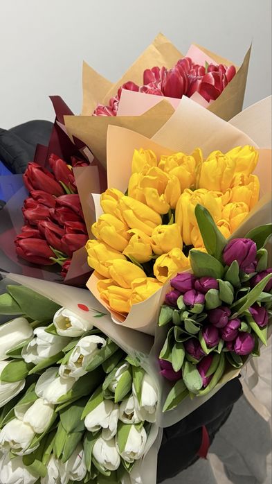 тюльпаны по 750 тг