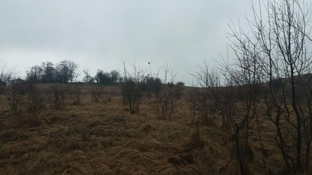 Парцел в кв. Филиповци