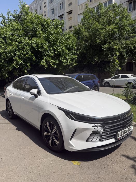 BYD Chazor 2024